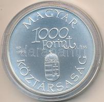1995. 1000Ft Ag "Régi dunai hajók III - Hableány" tanúsítvánnyal dísztokban T:BU Adamo EM139