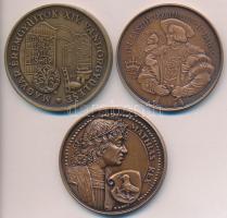 3db klf MÉE emlékérem: Fritz Mihály (1947-) / Szabó Géza (1939-) 1991. "MÉE Székesfehérvár - II. Ulászló - II. Lajos" Br emlékérem (42,5mm) + Renner Kálmán (1927-1994) DN "Mátyás király" Br emlékérem (42,5mm) + Bognár György (1944-) 1984. "MÉE XIV. Vándorgyűlése Gyöngyös / Gyöngyös alapításának 650. évfordulója" Br emlékérem (42,5mm) T:1