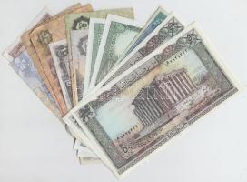 Vegyes: Libanon 1964-1992. 1L-50L 6db bankjegy + Egyiptom 1991-2003. 10p-1P 6db bankjegy T:vegyes (k...