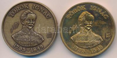 2db MÉE emlékérem: Bognár György (1944-) 1988. "MÉE Gyöngyösi Csoport - Aradi Vértanúk / Török Ignác" (2x) Br emlékérem és piefort emlékérem (42,5mm) T:1,1-