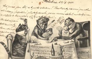 Card game, cat, dog, monkey s: Anders