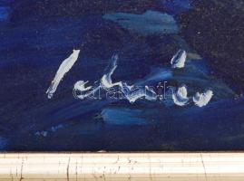 Schéner Mihály (1923-2009): Plázs. Olaj, farost, jelzett, keretben, 50×70 cm