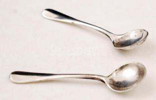 Ezüst(Ag) fűszertartó ezüst (Ag) kanalakkal, jelzett, üveg betétekkel, egyik sérült, 50,7 g