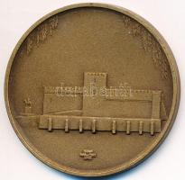 Lapis András (1942-) DN "Gyulai Várszínház" Br emlékérem (43mm) T:2