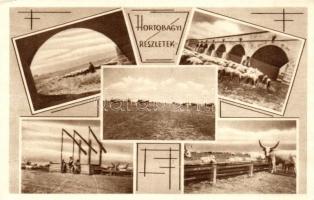 Hortobágy 'Lischa' kiadása (fa)