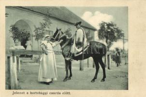 Hortobágy, csárda, csikó