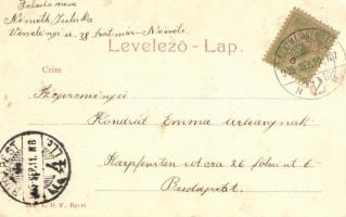 Szatmár, Rákóczi utca, Lévai-palota, Szűcs József kereskedése, saját kiadás / Palace Lévai, shop