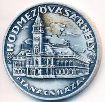 Csúcs Viktória (1934-1993) DN "Hódmezővásárhely Tanácsháza" fém emlékérem (32mm) T:2