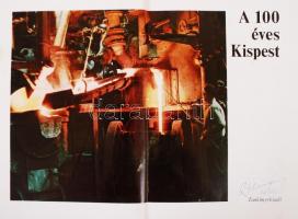 Molnár Géza (szerk.): A 100 éves Kispest. 1872-1972. Budapest, 1972, Tankönyvkiadó.
Kiadói egészvász...