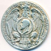 Románia 1913. "II. Balkán Háború Győzelmi Érem" kitüntetés fém másolata, peremén "C" jelzéssel (33mm) T:2- Romania 1913. "2nd Balkan War Victory Medal" metal copy medal, with "C" mark on edge (33mm) C:VF