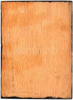 1959. "Magyar Lovas Szövetség Lovas Bemutató - Mezőgazdasági Kiállítás" fém plakett fa tal...