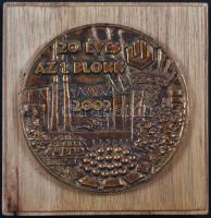 Farkas Pál (1947-) 2002. "20 éves az 1. blokk" plakett fa talpon T:2