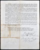 1881 Mácsa (Arad megye), marhalevél