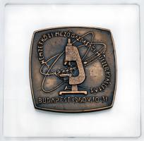 1960. "Nemzetközi Mezőgazdasági Műszerkiállítás Budapest" Br plakett üveglapon, dísztokban T:1-,2