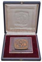 1960. "Nemzetközi Mezőgazdasági Műszerkiállítás Budapest" Br plakett üveglapon, dísztokban...