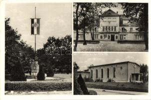 Fűzfőgyártelep, Balatonfűzfő, országzászló, hangya