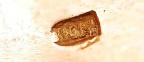 3 db 14K arany karika- és pecsétgyűrű  / Gold rings 14C 8,21g