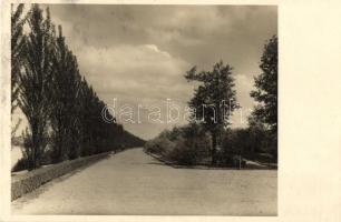 Budapest XIII. Margitszigeti park photo