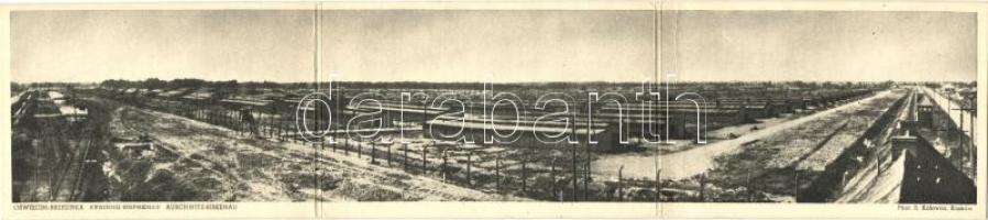 Auschwitz-Birkenau, concentration camp, three-tile panoramacard (fa)