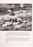 Hevesy Iván: A fényképezés művészete. A szerző fényképeivel. Bp., HAFA Kiadása. Kiadói félvászon köt...