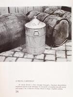 Hevesy Iván: A fényképezés művészete. A szerző fényképeivel. Bp., HAFA Kiadása. Kiadói félvászon köt...