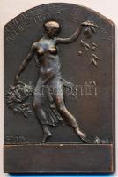 Sződy Szilárd (1878-1939) DN "Budapesti Egyetemi Athlétikai Club 1898" Br plakett (46,5x70mm) T:2