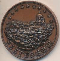 1998. "Esztergom / 1 Euro" Br emlékérem (43mm) T:2