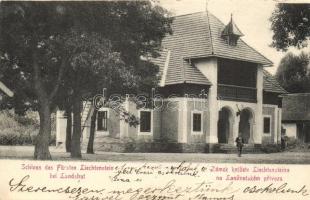 Lanzhot, Landshut; Zámek knízete Liechtensteina / Schloss Liechtenstein / castle
