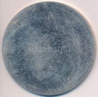 1959. "Magyar Tanácsköztársaság 1919-1959" Al emlékérem (57,5mm) T:2