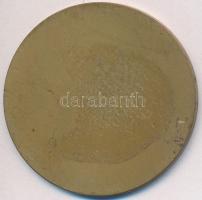 Szántó Gergely (1886-1962) 1927. "Királyi Magyar Egyetemi Nyomda" Br emlékérem (40mm) T:2