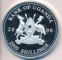 Uganda 2006. 2000Sh Ag "A labdarúgás halhatatlanjainak csarnoka - Franciaország 1980-as évek/Michel Platini" (26,42g) T:PP Uganda 2006. 2000 Shillings Ag "Hall of Fame of football - France 1980s/Michel Platini" (26,42g) C:PP