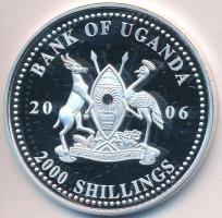 Uganda 2006. 2000Sh Ag "A labdarúgás halhatatlanjainak csarnoka - Brazília 2000-es évek/Roberto Carlos" (25,18g) T:PP Uganda 2006. 2000 Shillings Ag "Hall of Fame of football - Brazil 2000s/Roberto Carlos" (25,18g) C:PP