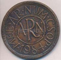 Nagy Benedek (1941-) 1984. "MÉE Székesfehérvár / Székesfehérvár és testvérvárosai" Br emlékérem (52mm) T:2