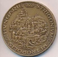 Peternák Gusztáv (1928-) 1974. "MÉE Budapest / Esztergom" Br emlékérem (42,5mm) T:1