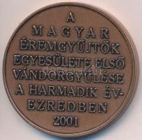 Veres Gábor (1955-) 2001. "MÉE Siófok - 31. Vándorgyűlés" Br emlékérem (42,5mm) T:1-