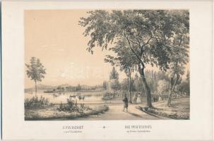 R. Alt (1812-1905): A Pávasziget. Litho kartonra kasírozva Buda-Pest előadva Alt Rudolf által c. könyvből. 12x18,5cm Jacob és Rudolf Alt munkái nagy hatással voltak a magyar városábrázolás alakulására. Különösen Rudolf részletes, pontos rajzai, festői hatású városképei töltöttek be jelentős ösztönző szerepet a hazai városkép-lithographia fejlődésében. Magyar szempontból ez az egyik legfontosabb művük, a fővárosról megjelent első önálló képes album. A kőnyomatokat Rudolf Alt rajzai nyomán Franz Xaver Sandmann készítette.