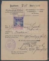 1895 Vadászati jegy / 1895 Hunter card