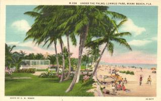 Miami Beach, Lummus Park, under the palms