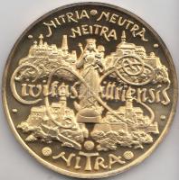 Szlovákia 1998. "Nyitra" aranyozott fém emlékérem tokban (60mm) T:PP Slovakia 1998. "Nitra" gilt metal medal in case (60mm) C:PP