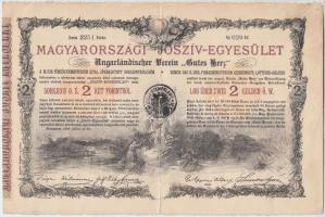 Budapest 1888. "Magyarországi Jószív Egyesület" sorsjegye, pecsételéssel 2Ft-ról magyar és német nyelven + 1904. "Erzsébet királyné Sanatorium Sorsjegykölcsön" sorsjegye 5K-ról, szárazpecséttel T:II-,III