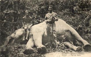 Laos, Tué au Bain / killed elephant