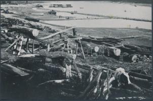 cca 1900 Fatelep a Tisza parton, Szeged alatt, jelzetlen, későbbi nagyítás Kerny István (1879-1963) hagyatékából, 12x18 cm