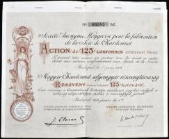 Budapest 1904. "Magyar Chardonnet selyemgyár részvénytársaság" részvénye 125K-ról szelvényekkel T:II-,III