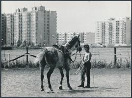 cca 1975 Kalocsai Rudolf: Lakótelepi hátasló lovásszal, a szerző által feliratozott vintage fotóművészeti alkotás, 18x24 cm / cca 1975 Nude photo, 18x24 cm