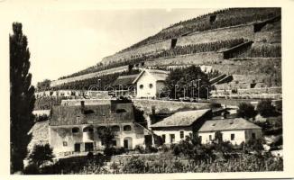 5 db RÉGI magyar városképes lap; Fonyód, Baja, Kaposvár, Nagykőrös, Badacsony / 5 old Hungarian town-view postcards; Fonyód, Baja, Kaposvár, Nagykőrös, Badacsony