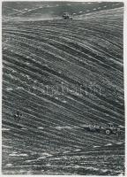 cca 1970 Zsigri Oszkár (Budapest): Lucerna aratás, feliratozott vintage fotóművészeti alkotás a szerző hagyatékából, 24x17 cm