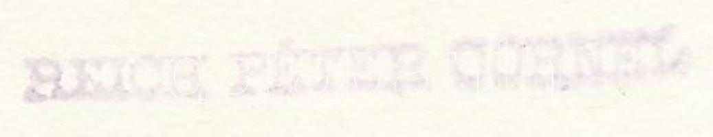 cca 1935-1940 Reich Péter Cornel: Romantikus csónakázás a Városligeti tóban, pecséttel jelzett vinta...