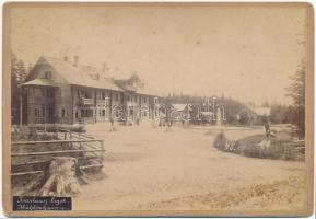 1887 Divald Károly (1830-1897): A Szepes-Bélai cseppkőbarlang közelében levő Barlang ligetről készült, feliratozott, keményhátú fotója, 11x16 cm