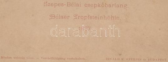 1887 Divald Károly (1830-1897): A Szepes-Bélai cseppkőbarlang közelében levő Barlang ligetről készül...