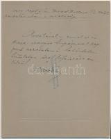 1909. szeptember 6. Amerikás magyarok csoportképe, a felirat szerint valamilyen zászlós menetelés ut...